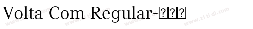 Volta Com Regular字体转换